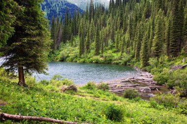 Lake in Tien-Shan mountains, Kazakhstan clipart