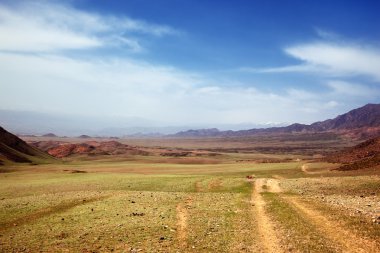 Spring steppe in Kazakhstan clipart