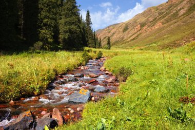 Small creek in a mountain valley clipart