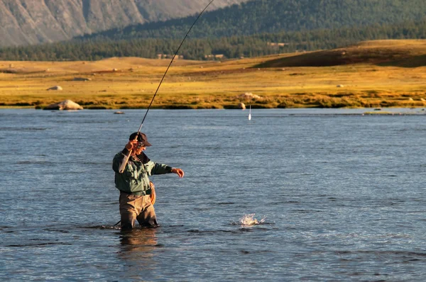 Pesca con mosca en Mongolia — Foto de Stock