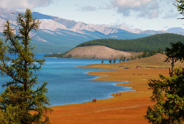 Hovsgol - jezero v Mongolsku — Stock fotografie