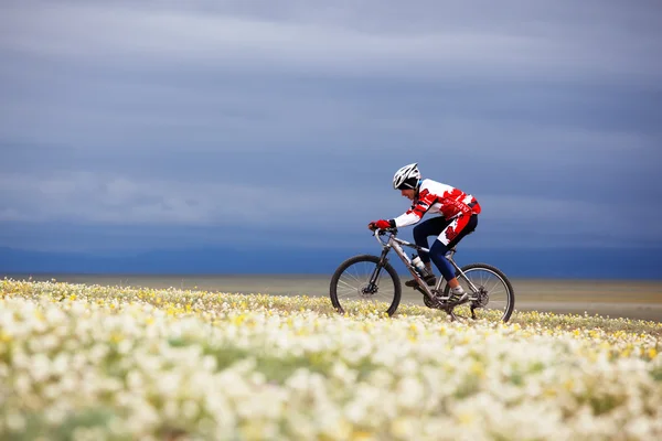 Lente avontuur berg fiets competitie — Stockfoto