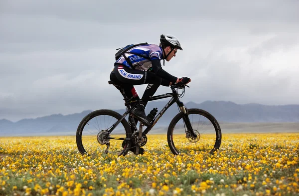 Primavera aventura mountain bike competição — Fotografia de Stock