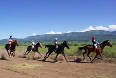 bayga - geleneksel Yörük yarış atları.