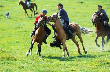 Kokpar - traditional nomad horses competitions clipart