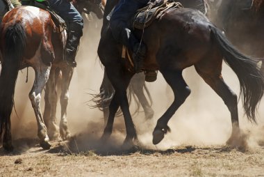 Kokpar - traditional nomad horses competitions clipart