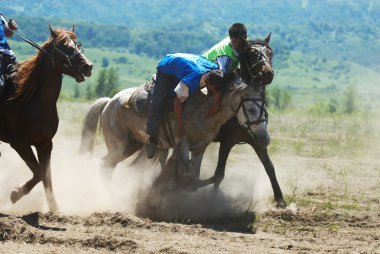 kokpar - geleneksel Yörük yarışmalar atlar.