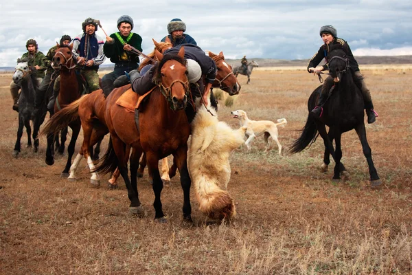Traditional nomad game Kokpar — Stock Photo, Image