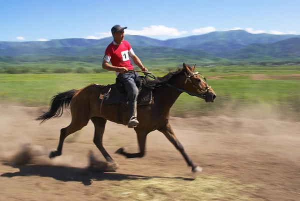 Bayga - traditionella nomad hästar racing — Stockfoto