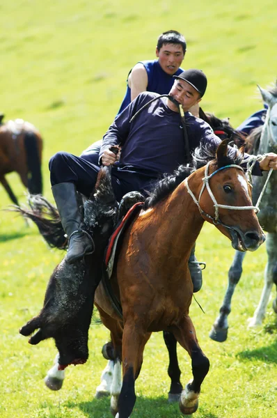 Kokpar - traditionelle Wettbewerbe für Nomadenpferde — Stockfoto