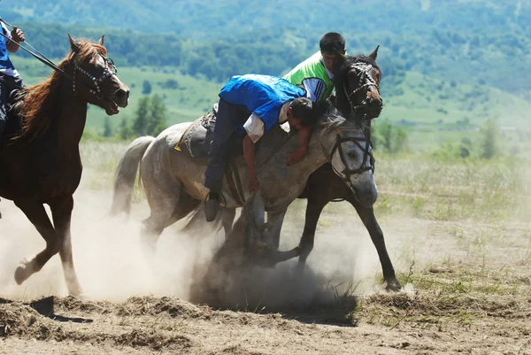 Kokpar - geleneksel Yörük yarışmalar atlar. — Stok fotoğraf