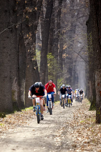 Horské kolo cross-country štafetový závod — Stock fotografie