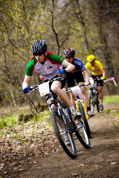 Dağ bisikleti arazi bayrak yarışı — Stok fotoğraf