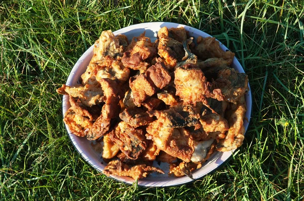 Poisson frit sur herbe — Photo
