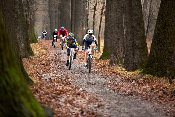 Tavaszi mountain bike verseny — Stock Fotó