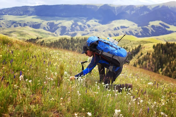 Escursionista in montagna — Foto Stock