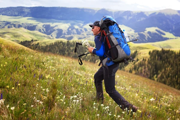 Hiker in mountains — Stock Photo, Image