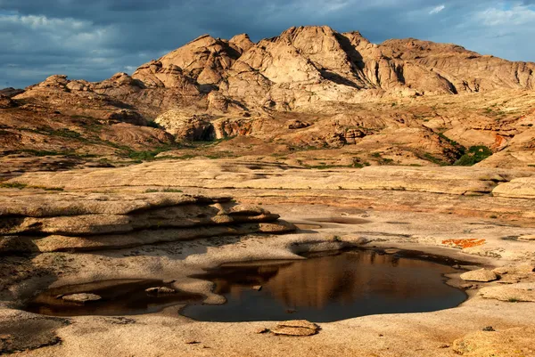 Les montagnes du désert après la pluie — Photo