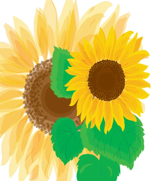 Latar belakang. Sebuah bunga matahari cerah yang indah - Stok Vektor