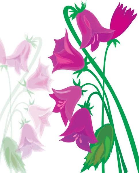 Bouquet de cloches à main lilas . — Image vectorielle
