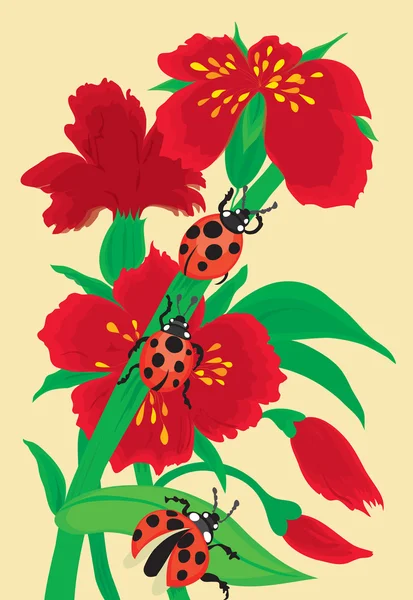 Bouquet rouge de fleurs avec une coccinelle — Image vectorielle