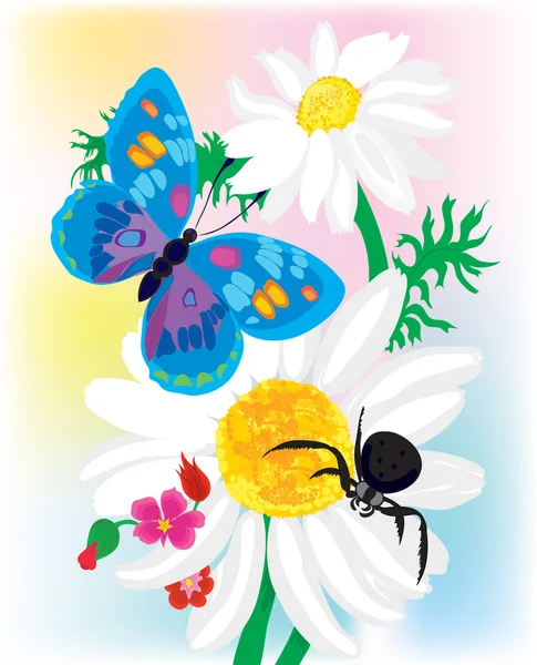 Bouquet di camomille con la farfalla e un ragno — Vettoriale Stock