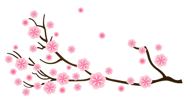 ซากุระดอกซากุระในฤดูใบไม้ผลิแยกจากสีขาว — ภาพเวกเตอร์สต็อก