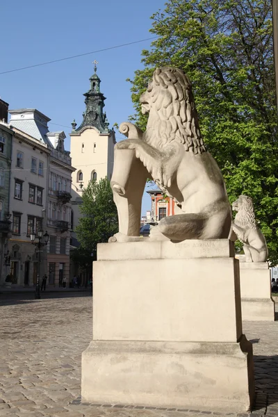 La plaza Rynok en Lviv —  Fotos de Stock