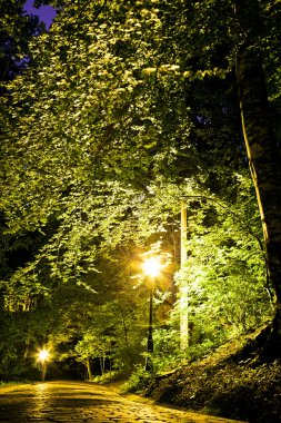 Eski park
