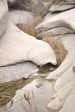 kayalık çölde vaha