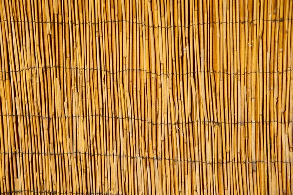 Padrão de bambu — Fotografia de Stock