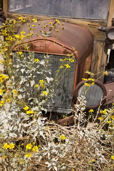 Camión Rusty Vintage en parche de flores — Foto de Stock