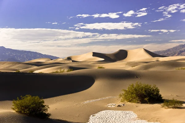 Paysage de sable des dunes Mesquite — Photo