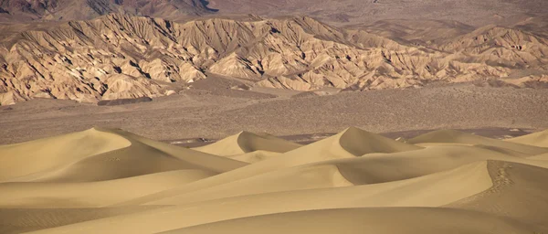 Mesquite sanddyner sandscape — Stockfoto