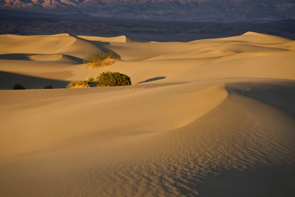 Sandscape Dolina śmierci — Zdjęcie stockowe