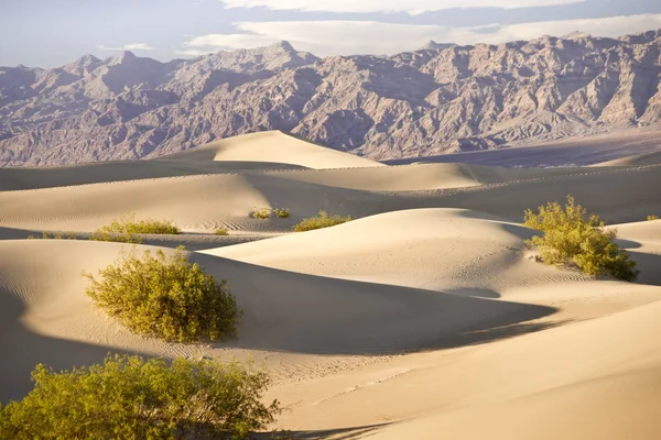 Death Valley Sandscape — Stockfoto
