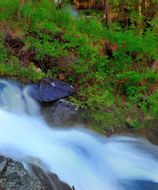 Dağ Nehri