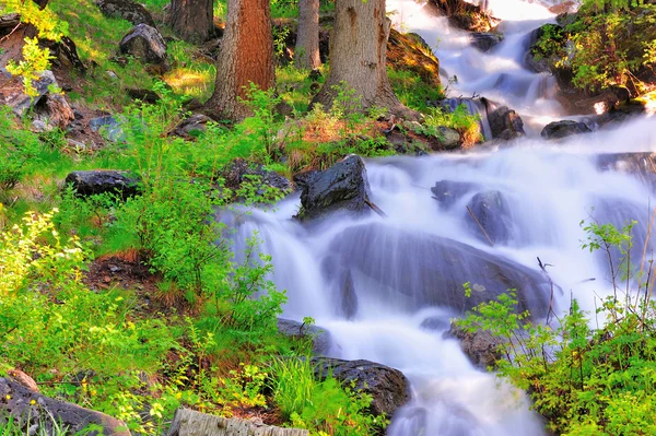 stock image The mountain river