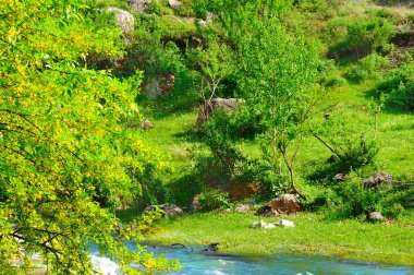 Dağ Nehri