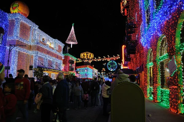 stock image Osborne Christmas display at Walt Disney World