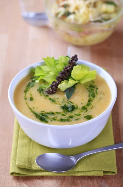 Крем из овощного супа — стоковое фото