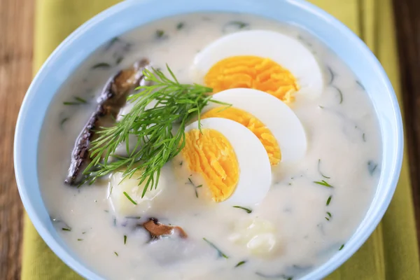Суп со сметаной — стоковое фото