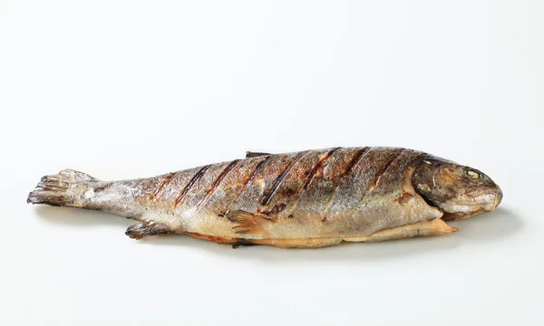 烤的鳟鱼 — 图库照片
