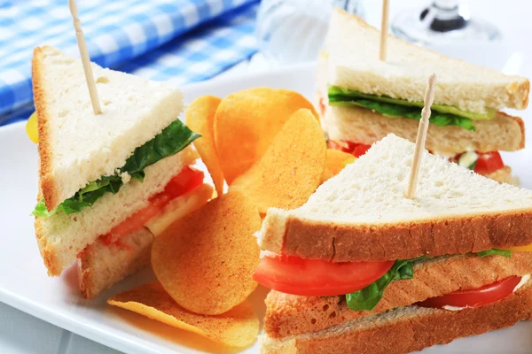 Sandwich sayuran dan keripik — Stok Foto