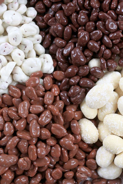 Choklad omfattas nötter och frukt — Stockfoto