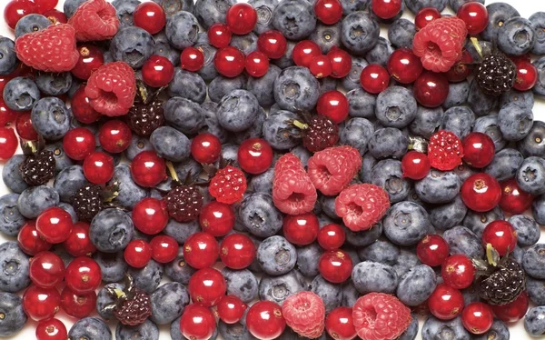 Berry ovoce — Stock fotografie