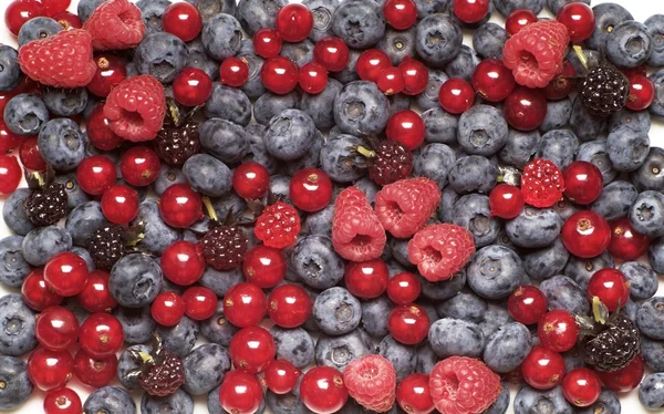 Fruta de bagas — Fotografia de Stock