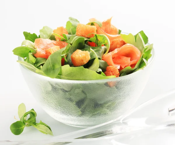 Salmon salad — Stock Photo, Image