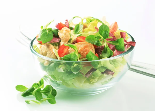 Frischer Salat mit Hühnerfleisch — Stockfoto