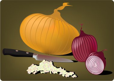Onions clipart